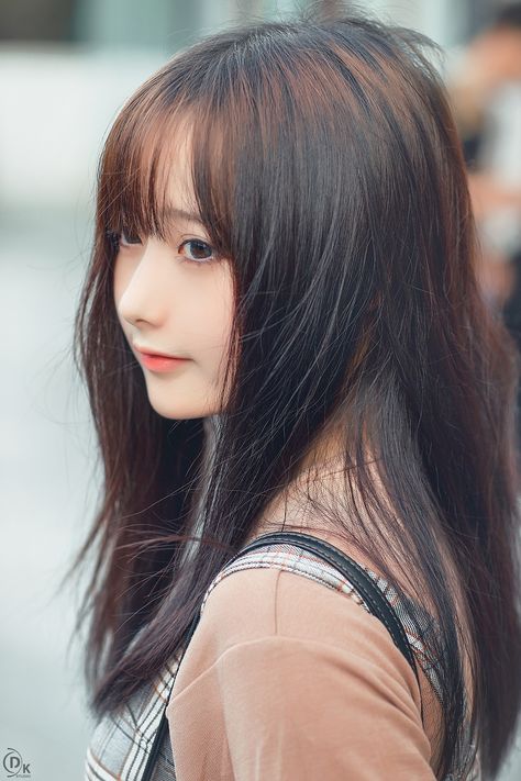 老师的小兔子真好听
